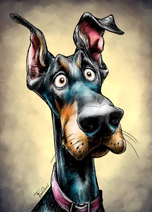 Doberman