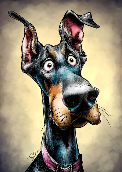 Doberman