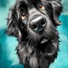 Newfoundland dog